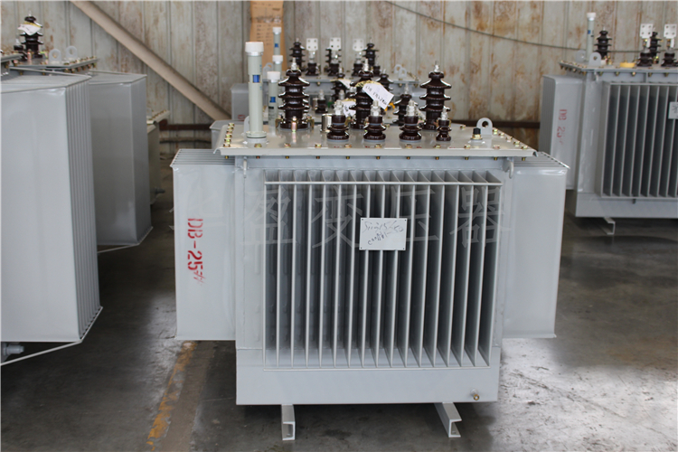 咸宁S20-800kVA/10kV/0.4kV变压器